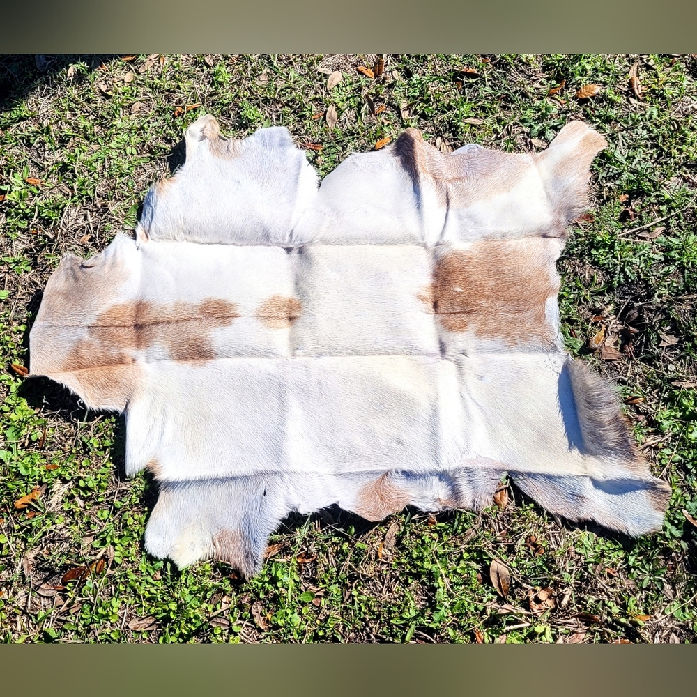 Painted Strawberry Blonde Goat Hide